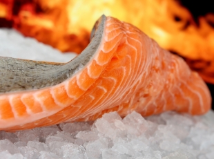 Учёные выяснили, какую рыбу надо есть, чтобы эффективно снизить холестерин