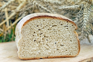 В Турции найден кусок хлеба, которому 8600 лет
