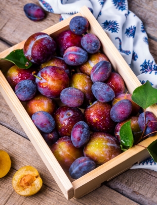 Диетолог Степаненко назвала фрукты, не способствующие похудению