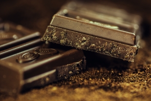 Учёные: шоколад защищает от Альцгеймера и ожирения