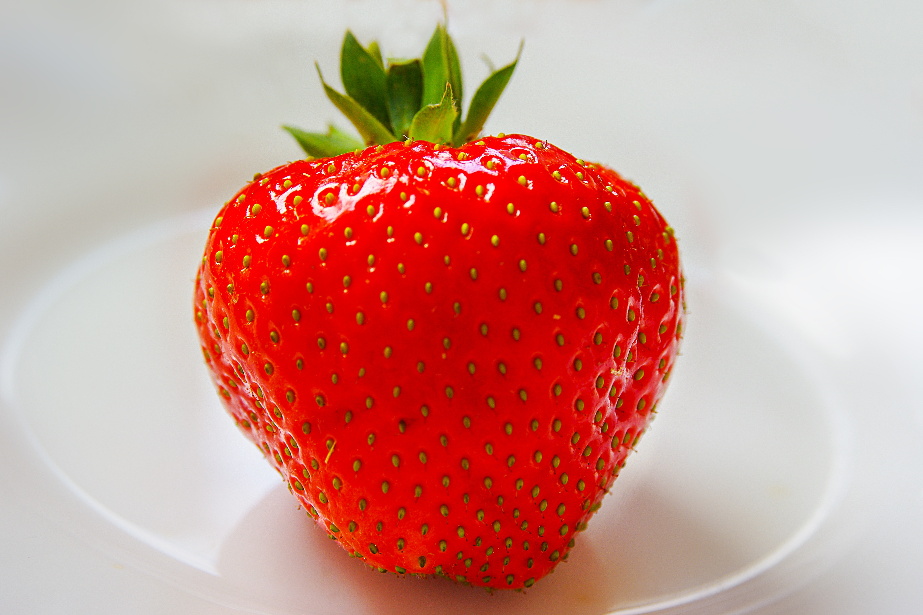 N24: 8 ягод клубники в день оздоравливают сердце