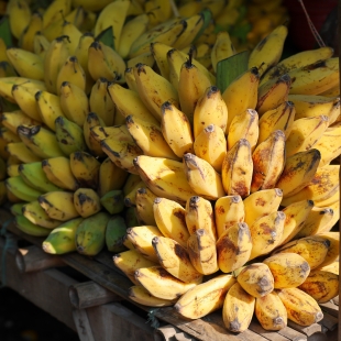 В "Руспродсоюзе" заявили об отсутствии сложностей с поставками бананов из Эквадора