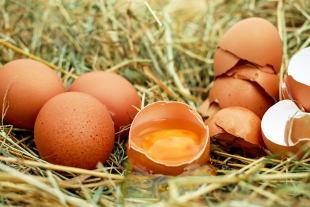 Врач Зубарева назвала 9 полезных свойств яиц