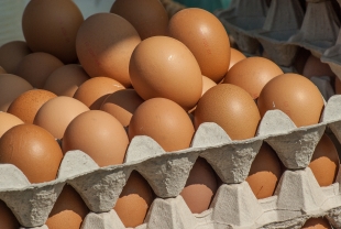 Цены на куриные яйца в России поползли вниз