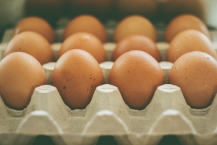 Глава ФАС России увидел тенденцию снижения цен на куриные яйца
