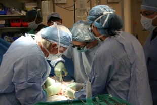 Transplantology: в 90% случаях пересадка органов меняет личность