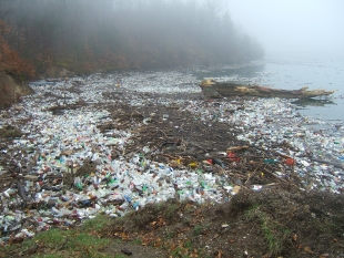Учёные Японии создали пластик, растворяющийся в солёной воде