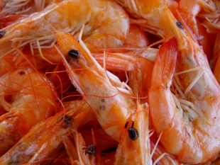 Южная Корея снизила закупки российских морепродуктов до минимума за год