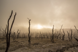 Учёные: климат на Земле в фазе невозврата