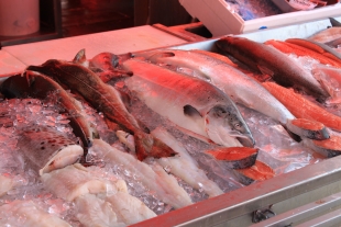 Учёные назвали продукты-помощники мозга