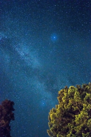 Астрономы VASCO обеспокоены исчезновением сотен звёзд с неба