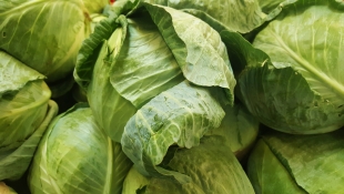 Диетолог Гинзбург назвал овощ, предотвращающий рак