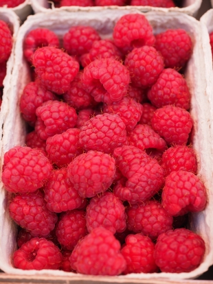 Врач Дворкина предупредила об опасности замороженных ягод для здоровья